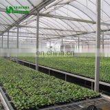 Commercial Agricultural Greenhouse Movable Nursery Bench thumbnail-6