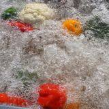 Fruit Washing Machine/ Vegetable Washer/ Machine Washing Fruit WT/8613824555378 thumbnail-4