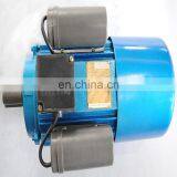 IP44 YC Series Single-phase Induction Motor thumbnail-2