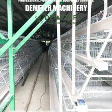 Egg laying chicken cages