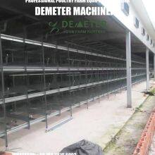 Layer Chicken Coop thumbnail-1