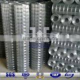 1m Width Hot-dipped Galvanized Welded Mesh Roll thumbnail-1