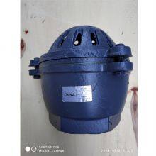 Válvula de pie de hierro fundido de alta resistencia con conexión roscada, adecuada para el suministro de agua industrial thumbnail-4