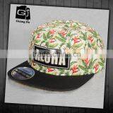 OEM 2015 Flat Brim Beach Print 6-Panel Cap
