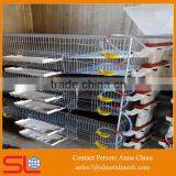 Cheap commercial quail cages / quail battery cages / automatic quail cage