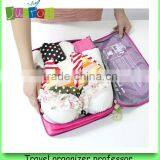 UIT Luggage Organizer-medium thumbnail-4