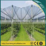 Guangzhou Hail Protection Net/ Apple Trees Protection Anti-hail Net/ Plastic Net