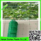 2015 China Factory High Quality Cucumber Net , China Support Net for Cucumbers , Plant Support Netting thumbnail-5