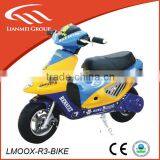 Single Cyclinder 2-wheel 49cc Mini Moto With CE for Kids/adults thumbnail-1