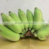 Organic Fresh Bananas Nam Wah thumbnail-1