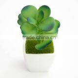 3 Inches Squared Mini Pot Plant thumbnail-5