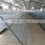 High Quality Quail Layer Poultry Cages For Kenya Farm And Quail Layer Cage Design ( Now or Never ) thumbnail-6