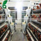 high efficiency automatic chicken feeder system