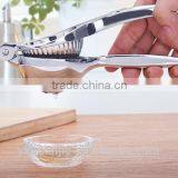 Lemon Juice for Steak thumbnail-2