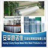 Galvanized Welded Wire Mesh in Roll ( Professional Factory and Exporter )