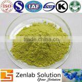 Moringa Oleifera Leaf Extract Powder thumbnail-6