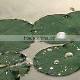 Super Hydrophobic Coating Manufacturer/China thumbnail-1