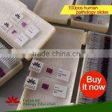 Fixed Items Factory Direct Sale High Quality Pathology Microscope Prepared Slides
