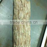 Precooked Bonito Loin thumbnail-2