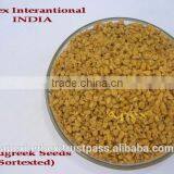 Fenugreek Seeds/ Trigonella Foenum / Methi thumbnail-4