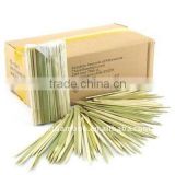 square green Moso Bamboo Sticks / BBQ Skewer