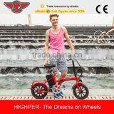 250W Cheap Small Folding Electric Bike, Cheap Electric Bicycle With EN15194 (EF01S-3) thumbnail-4