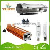 Wholesale Indoor 600w Grow Light Greenhouse Kit thumbnail-1