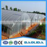6m/8m/9/ Vegetables Single Span Greenhouse thumbnail-3