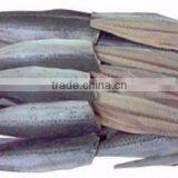 Frozen IQF Spanish Mackerel Fillet IQF Scomberomorus Niphonius King Fish Fillet thumbnail-1
