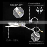 Factory Directly Selling Hair Scissors Wholesale Hair Salon Equipment thumbnail-6