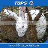 Hebei Factory Supply Fine Hexagonal Wire Netting/Gabion Slope Protection Netting/Cabion Wire Roll(Manufacturer) thumbnail-2