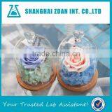 Glass Shade Preserved Flower Cover thumbnail-2