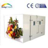 Cold Room for African Daisy thumbnail-1