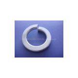 Spring Washer thumbnail-1