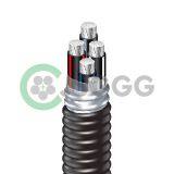 RHH or RHW-2 or USE-2 Aluminum Conductors Are AA-8000 Series Aluminum Alloy thumbnail-1