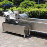 Automatic SUS304 Air Bubble Ozone Leafy Vegetable Washer Fruit Cleaner thumbnail-3