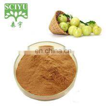 Sciyu Supply Alma Phyllanthus Emblica Fruit Extract Powder thumbnail-1