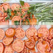 Vacuum Freeze Dryer in the Dried Fruit& Vegetable Processing thumbnail-5