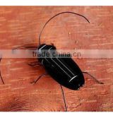 Solar Power Cockroach Insect Teaching Toy Gift