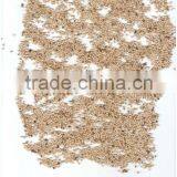 Sesame Seeds thumbnail-1