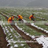 Manufacturer Pure Natural High Quality Maca Capsules thumbnail-3