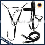 Endurance Soft PVC/TPUwebbing Horse Bridle and Halter Quality Choice thumbnail-1