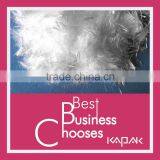 Hot Sell Polyproplene PP Fiber for Geotextile