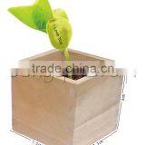 Promotional Gift Message Bean With Wooden Box, Make Magic Beans thumbnail-5