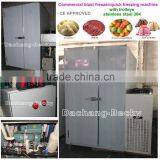 Commerical Blast Freezer/quick Freezing Machine CE Approved With Trolleys for Food