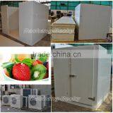 Cold Storage Room Price for Fruit Chill Room