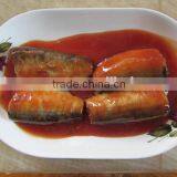 Canned Mackerel Canned in Tomato Sauce With 155g