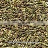 Cumin Seed Indian Origin thumbnail-5