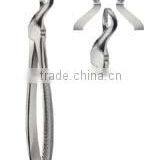 Dental Extraction Forceps thumbnail-3