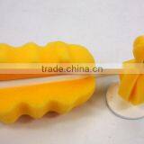 Professional Water Bottle Brush Plastic Baby Bottle Cleaning Brush With Sponge Of Bottle Brush thumbnail-4